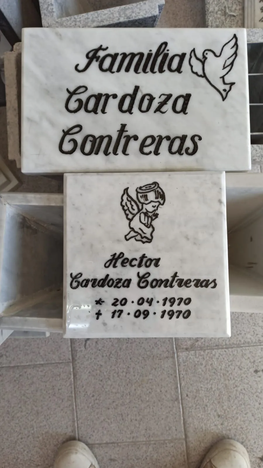 Trabajo en mármol realizado por Cat any — Libros y placas